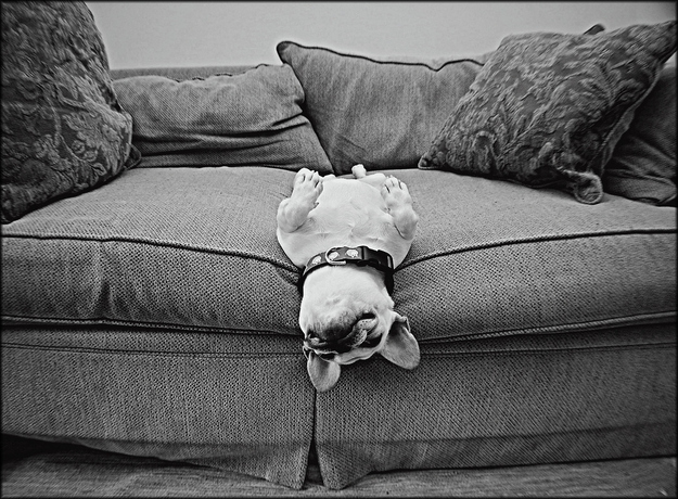 enhanced-buzz-6209-1373380778-41