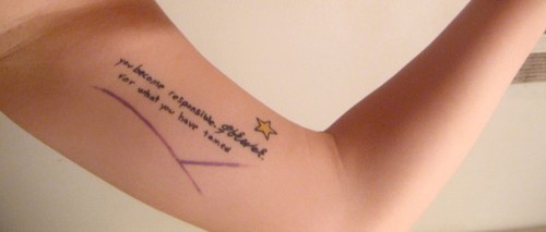 autourpp_shelby_bolton_large