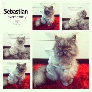 Sebastian bem feliz com a roupa