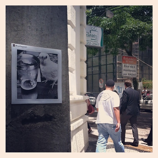 1000354_10202387570071786_1701255967_n