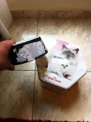 1464946_10202347550871331_2068453655_n