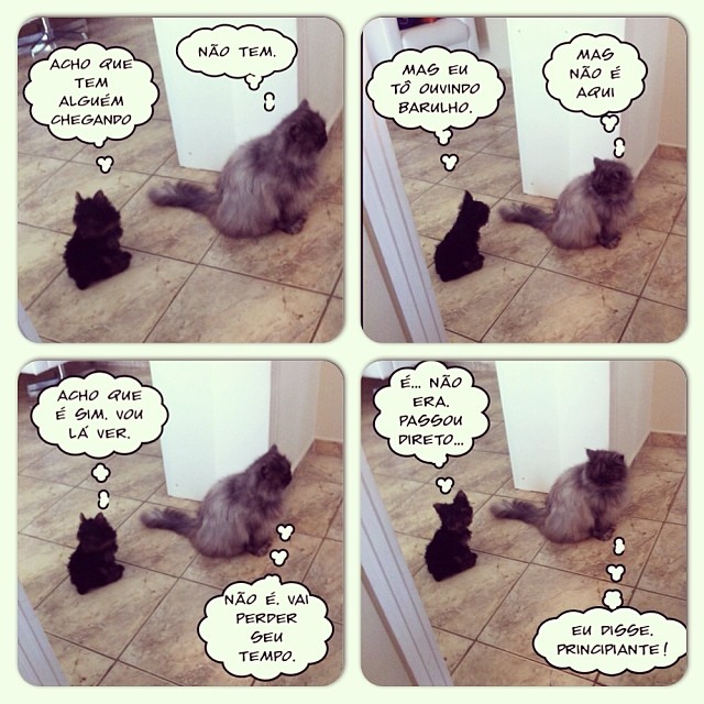 dd04c03a47c911e3a66e0e9639454125_8