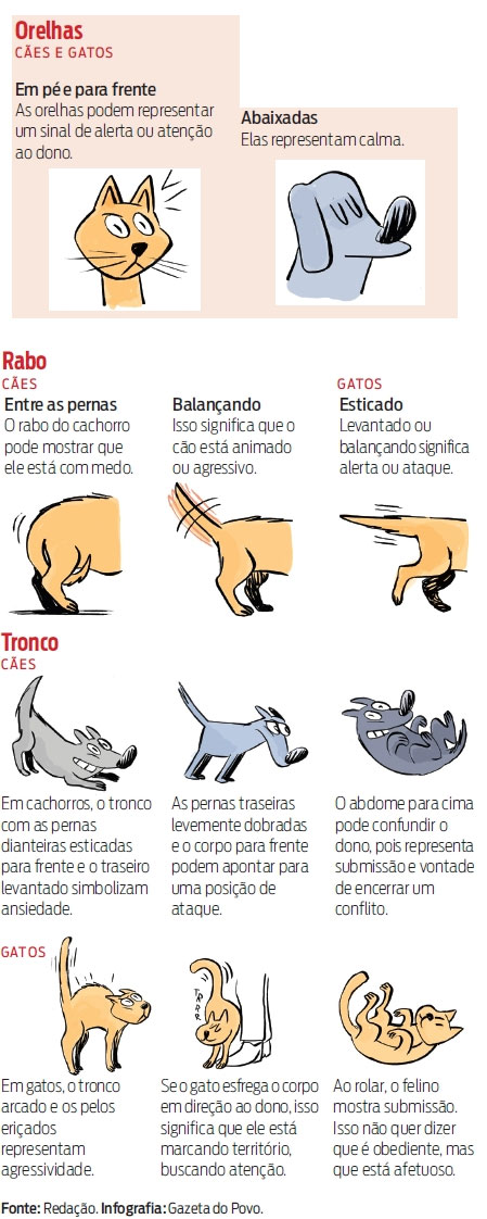 info_linguagem_animal