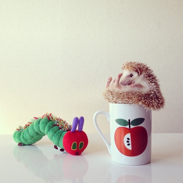 621860265cf411e3bc9512d8d9658d53_8