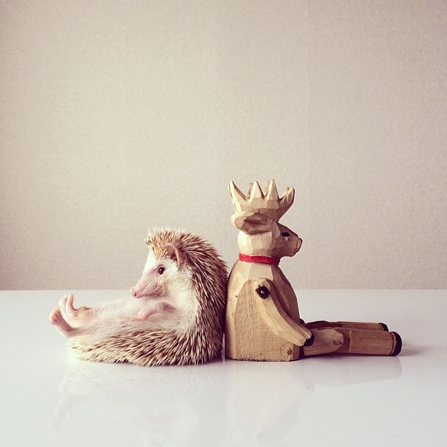 c4fd515a698e11e3814a126964918fbd_8