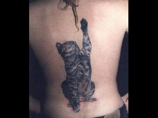Cat Tattoo.jpg_thumb