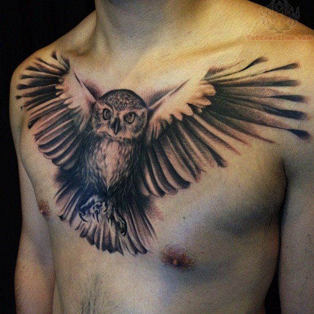 chest-tattoos-design-owl