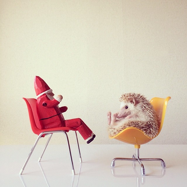 fe8a13de68cd11e3979e1249658bc5f5_8