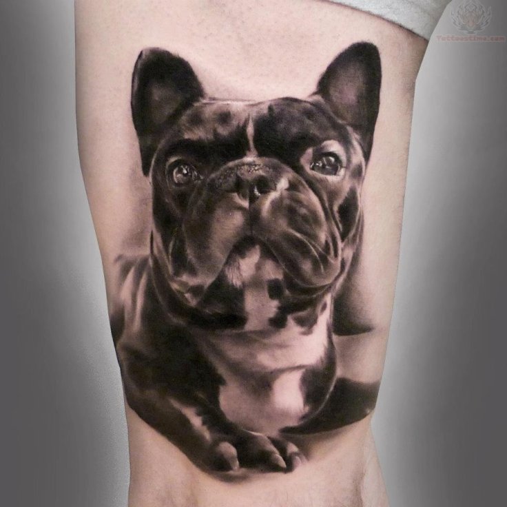 french-bull-dog-tattoo