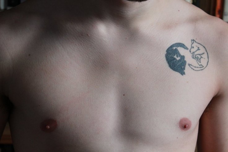 nano_dog_tattoo_by_leandroaguirre-d5lhwvh