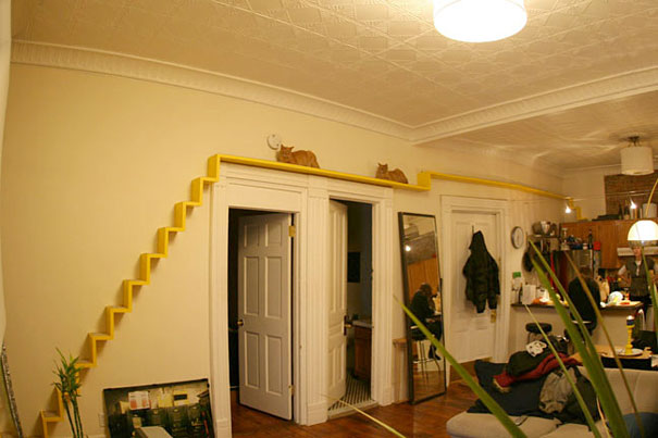 furniture-ideas-for-pet-lovers-and-their-furry-friends17