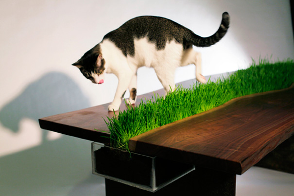 furniture-ideas-for-pet-lovers-and-their-furry-friends5