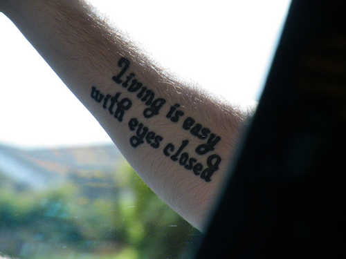 tumblr_lxuymm4ynz1qmp127o1_500