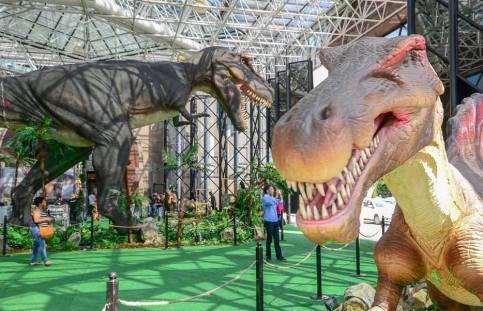 10314603_507826312657246_575043951504978614_n