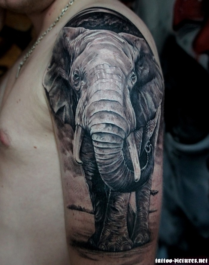 grey-elephant-tattoo-on-man-left-half-sleeve