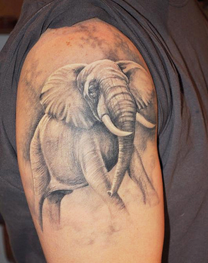 Healthy-Elephant-Tattoo-Design-on-Shoulder