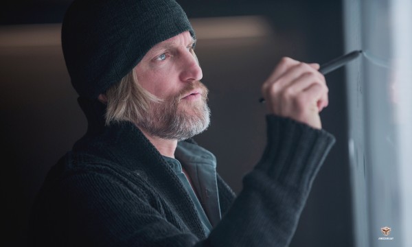 the-hunger-games-mockingjay-part-1-woody-harrelson-600x360