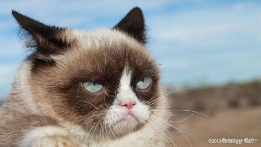 grumpycat