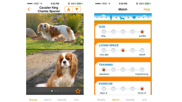 O aplicativo funciona como uma enciclopédia de cães para quem está pensando em adotar ou comprar um cachorro. São mais de 2.000 fotos e informações de 350 raças, desde as populares até as mais raras. A busca é feita a partir de um perfil pré-definido pelo futuro dono, como tamanho, comportamento ou estilo de vida.