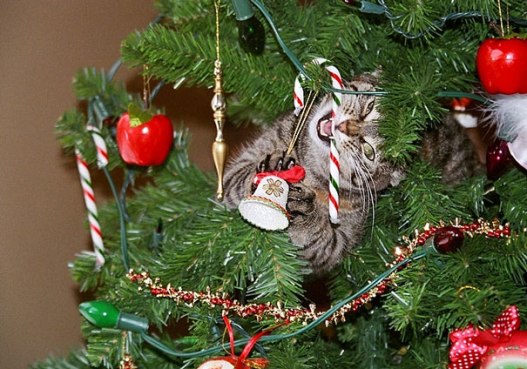 XX-animals-destroying-Christmas-16__605