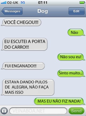 sms-cachorro5
