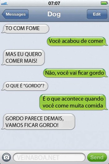 sms-cachorro8
