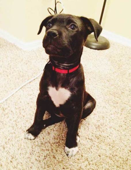 f54344d12ba6e377253b8e32a3a824bf_650x