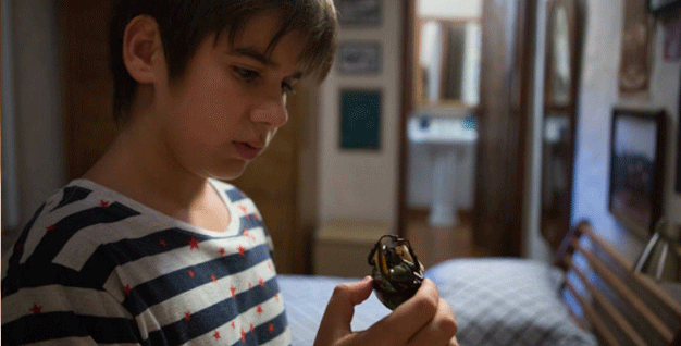 o-escaravelho-do-diabo-besouro1