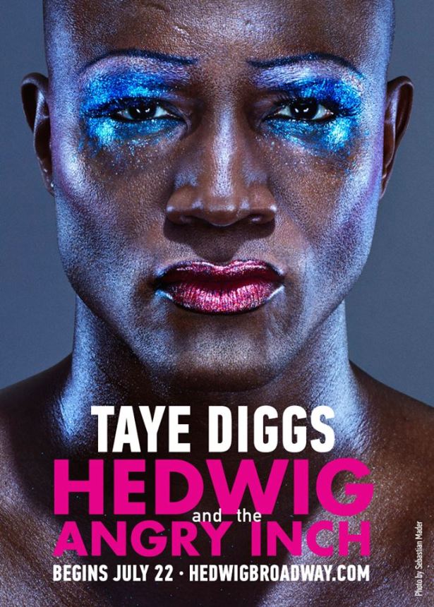 taye diggs hedwig