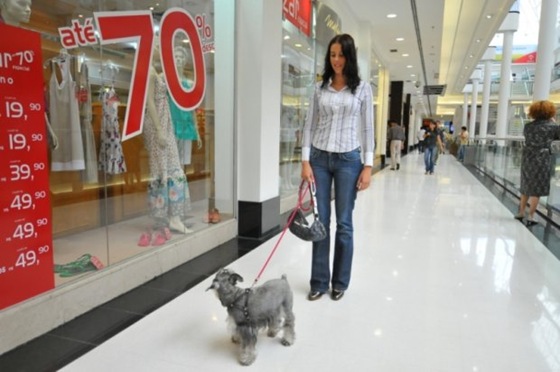 passeio-cachorro-shoppings-curitiba[4]