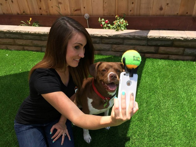 pooch-selfie-dog-6-635x476