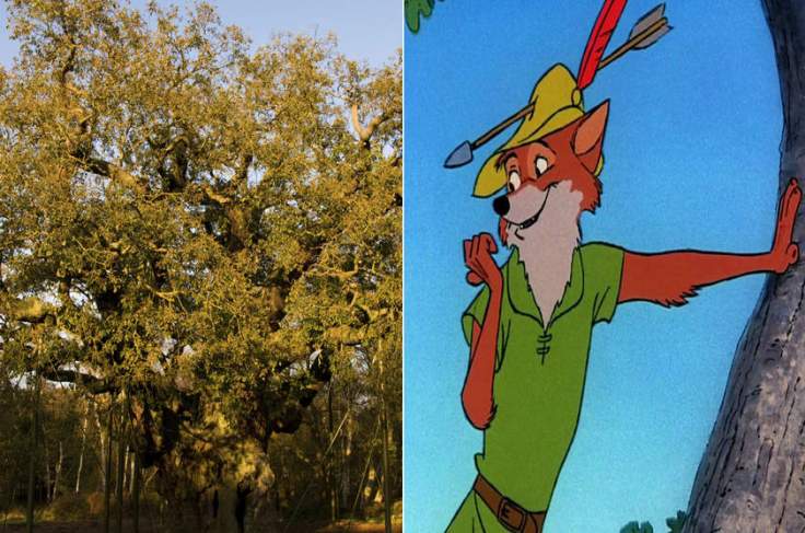 robin-hood-nottingham-reino-unido