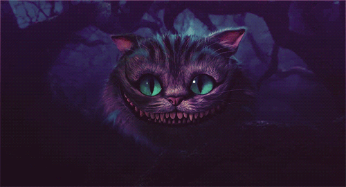 gato alice