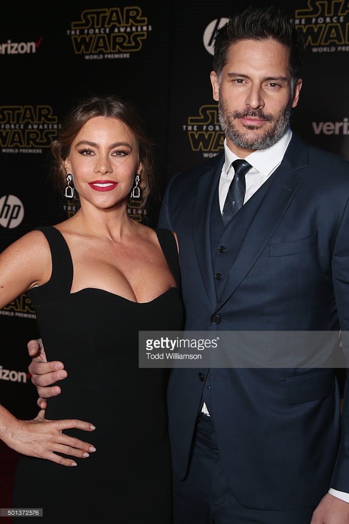 attends the Premiere of Walt Disney Pictures and Lucasfilm's "Star Wars: The Force Awakens" on December 14, 2015 in Hollywood, California.