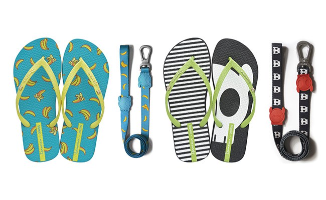 zee-dog-ipanema-destacada