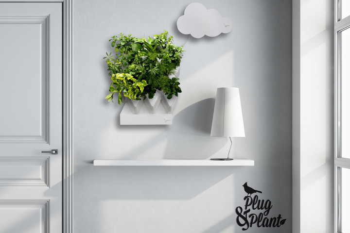 vertical-green-plugplant-0013-720x480-c