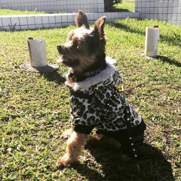 13108742_235787086785389_1877208701_n