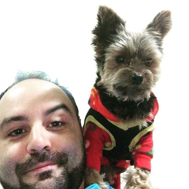 13267469_286971521640321_2120950131_n