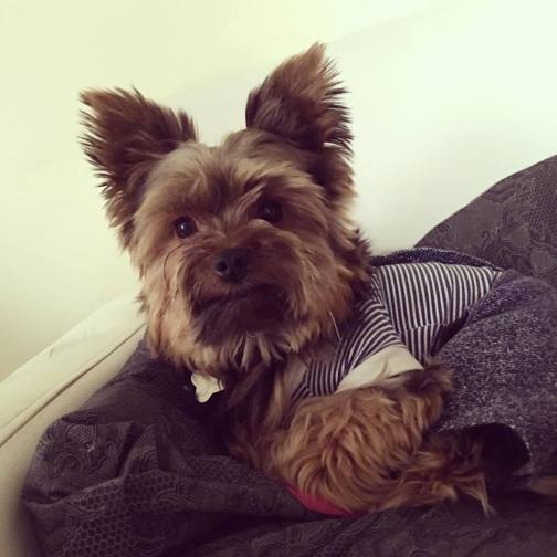 13754108_10209746742006485_8411546433637368996_n