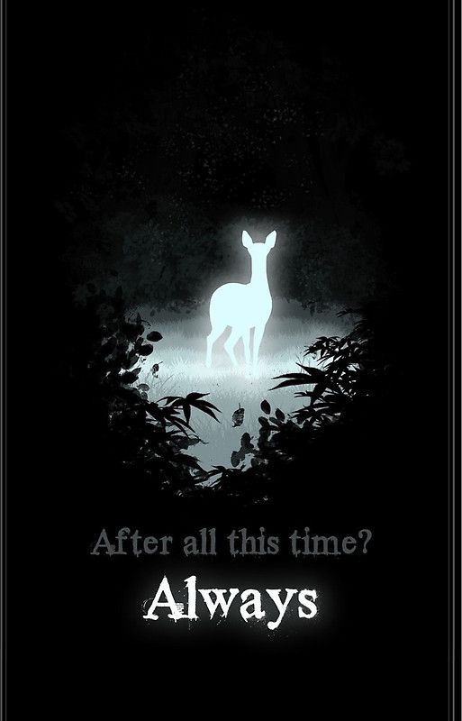 f2f4faf5d18d26018c549ca9d6a20f51