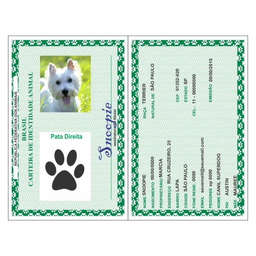 rg-documento-dog-cachorro-gato-korzus