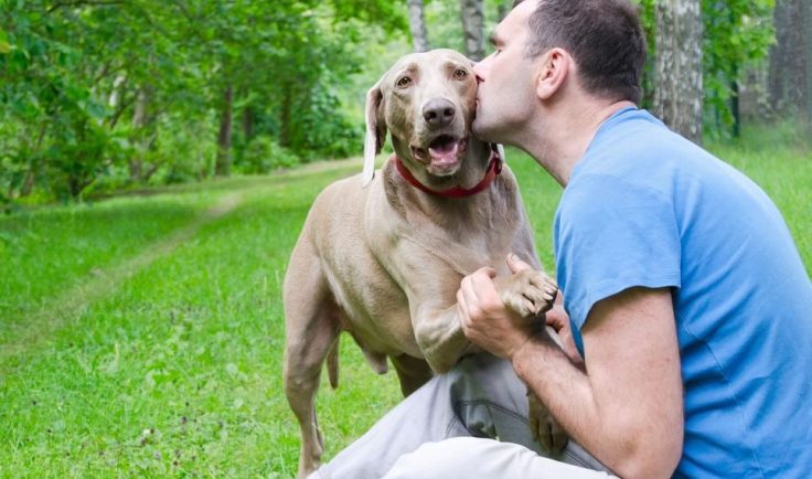 blog-pai-de-cachorro-965x570