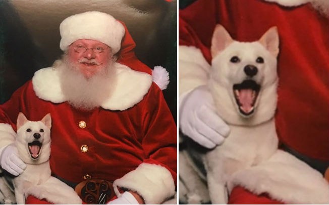 papai noel com cachorro2.jpg